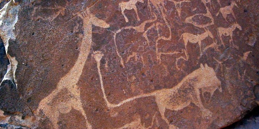 Twyfelfontein, pitture rupestri
